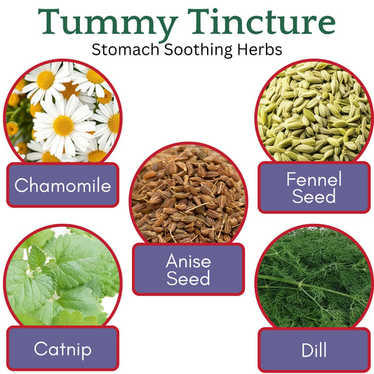 Herb Lore Tummy Tincture dropper enables easy, alcohol-free dosing for kids.