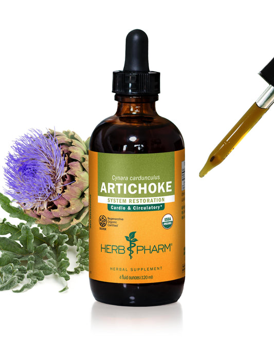 Herb Pharm Artichoke Liquid Extract bottle for daily use with potential circulatory support.