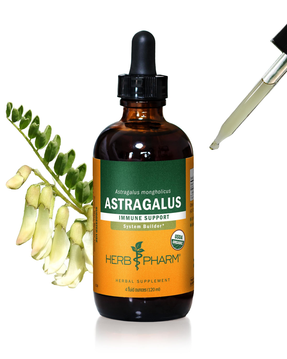 Herb Pharm Astragalus liquid bottle ready for daily routine and immune support.