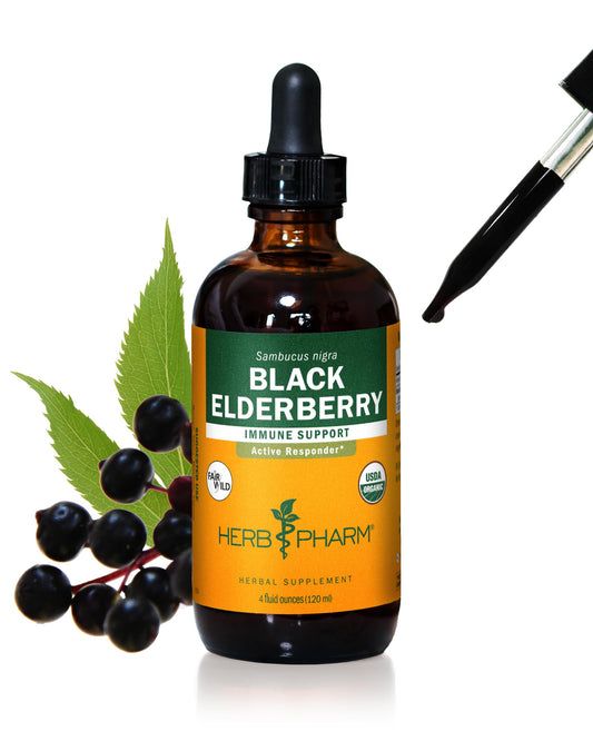 Herb Pharm Black Elderberry Liquid Extract bottle for daily immune support.