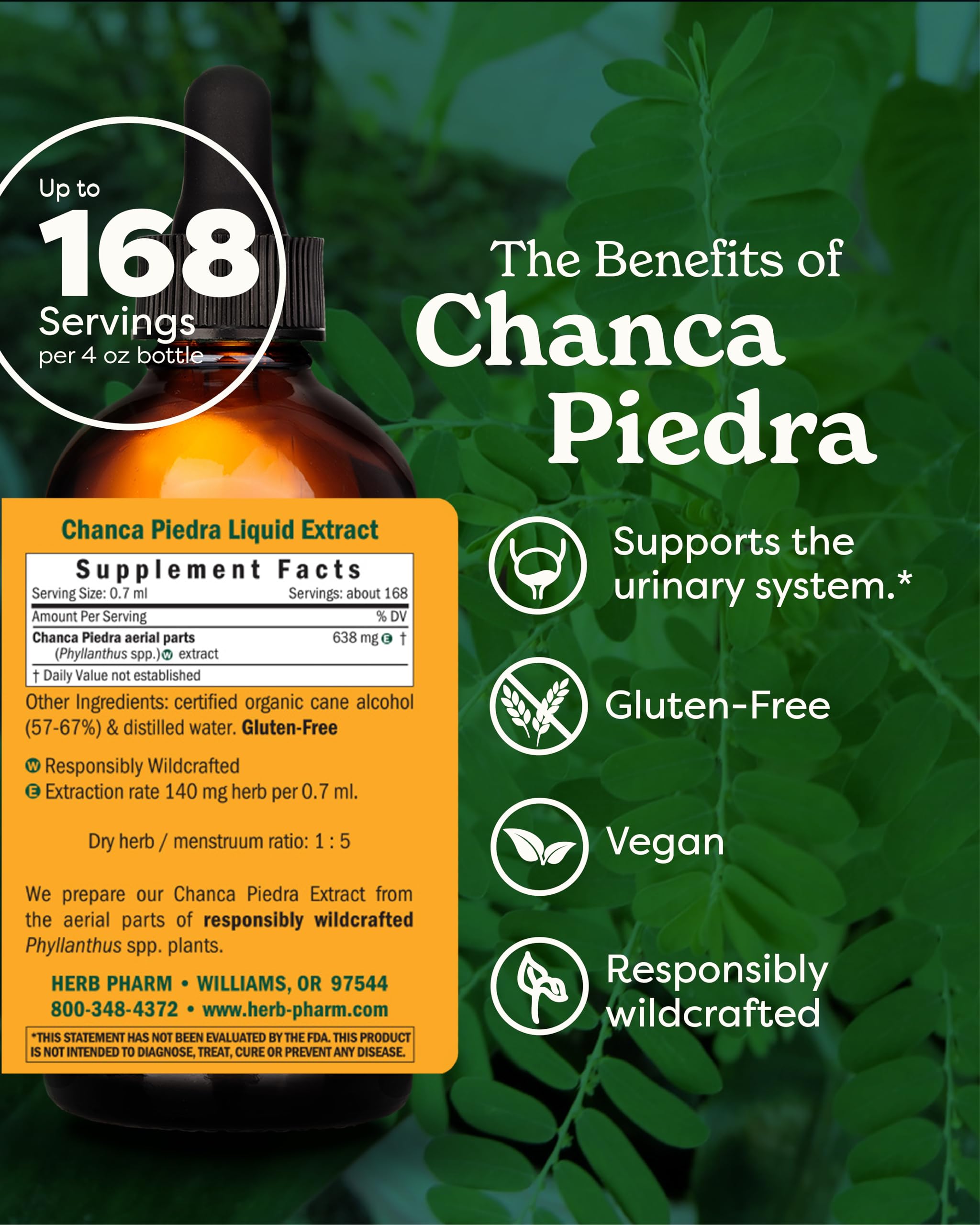 Chanca Piedra liquid extract dropper by Herb Pharm for daily use