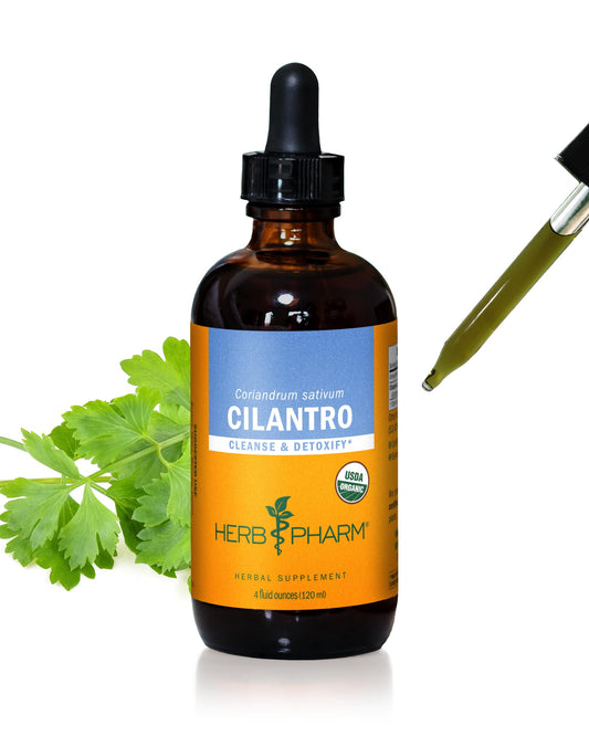 Herb Pharm cilantro liquid extract bottle ready for cleansing support.