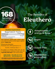 Herb Pharm Eleuthero label close-up showing branding and strength.
