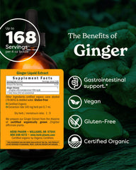 Dropper poised with ginger extract enables precise dosing for occasional nausea.