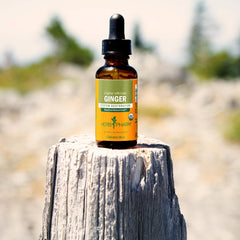 Herb Pharm ginger root extract label confirms organic origin and potency testing.