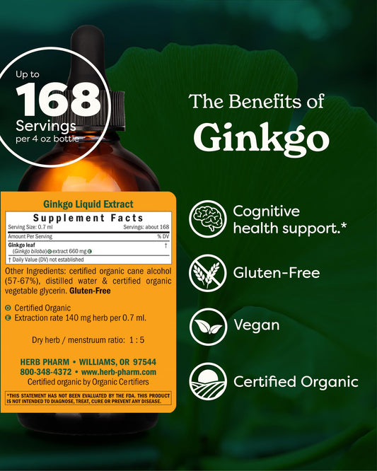 Herb Pharm Ginkgo liquid extract bottle shows rapid absorption for daily focus