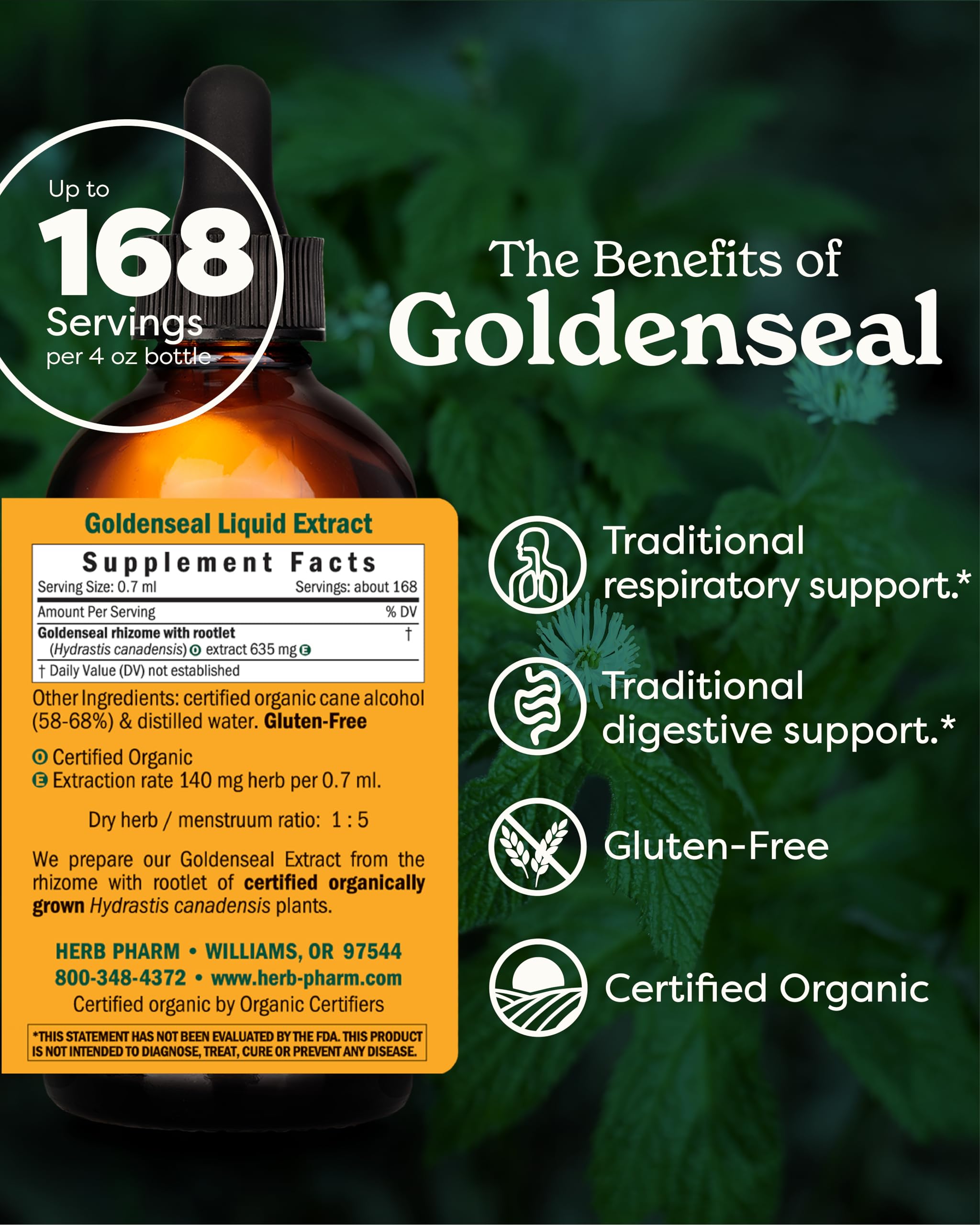 Goldenseal liquid dropper used for easy dosing.
