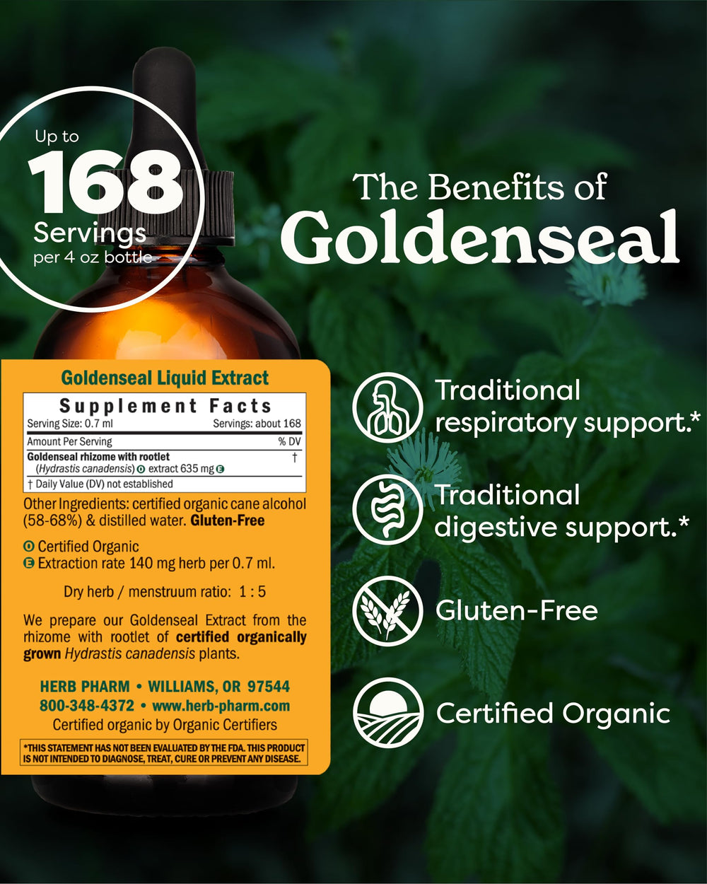 Goldenseal liquid dropper used for easy dosing.
