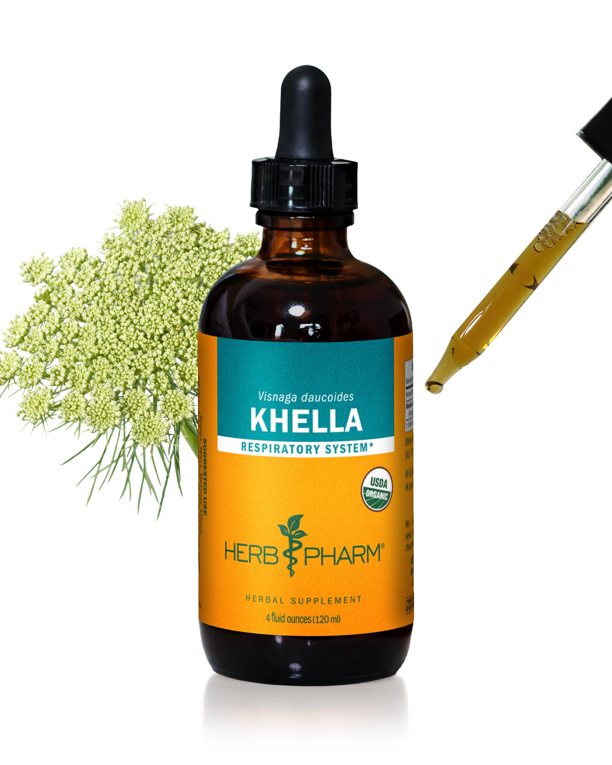 Herb Pharm Khella liquid extract bottle with label for respiratory support.