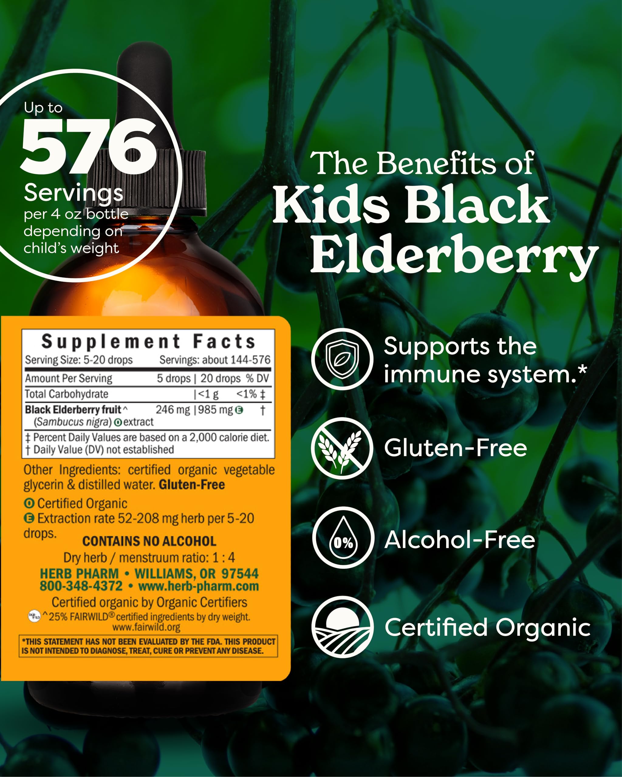 Close-up of elderberry liquid dropper showing precise kid dosing