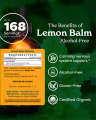 Herb Pharm lemon balm extract dropper for easy dosing