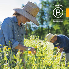 Herb Pharm sustainable harvest imagery of Motherwort plants.