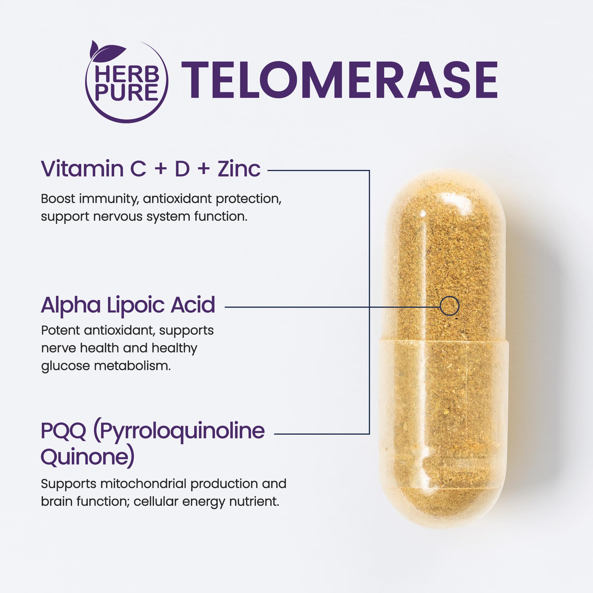 HERB PURE Gotu Kola capsules emphasizing memory function and circulation.
