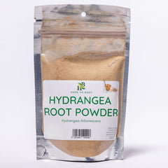 Herb To Body Hydrangea Root Powder bottle with powder texture for daily herbal use.
