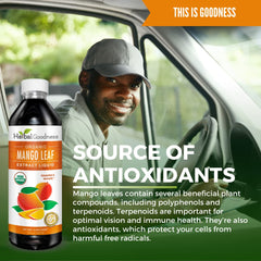 Herbal Goodness Mango Leaf Extract glass dropper enables precise dosing at home