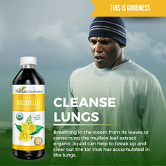 Herbal Goodness Mullein Drops ingredients panel emphasizes vegan, alcohol-free formula.