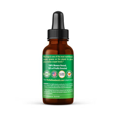 Herbal Papaya Moringa Extract Liquid Drops label highlights a 10:1 organic extract for potency.