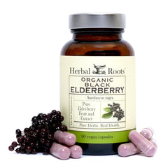Herbal Roots Black Elderberry capsules bottle showing immune-support potential.