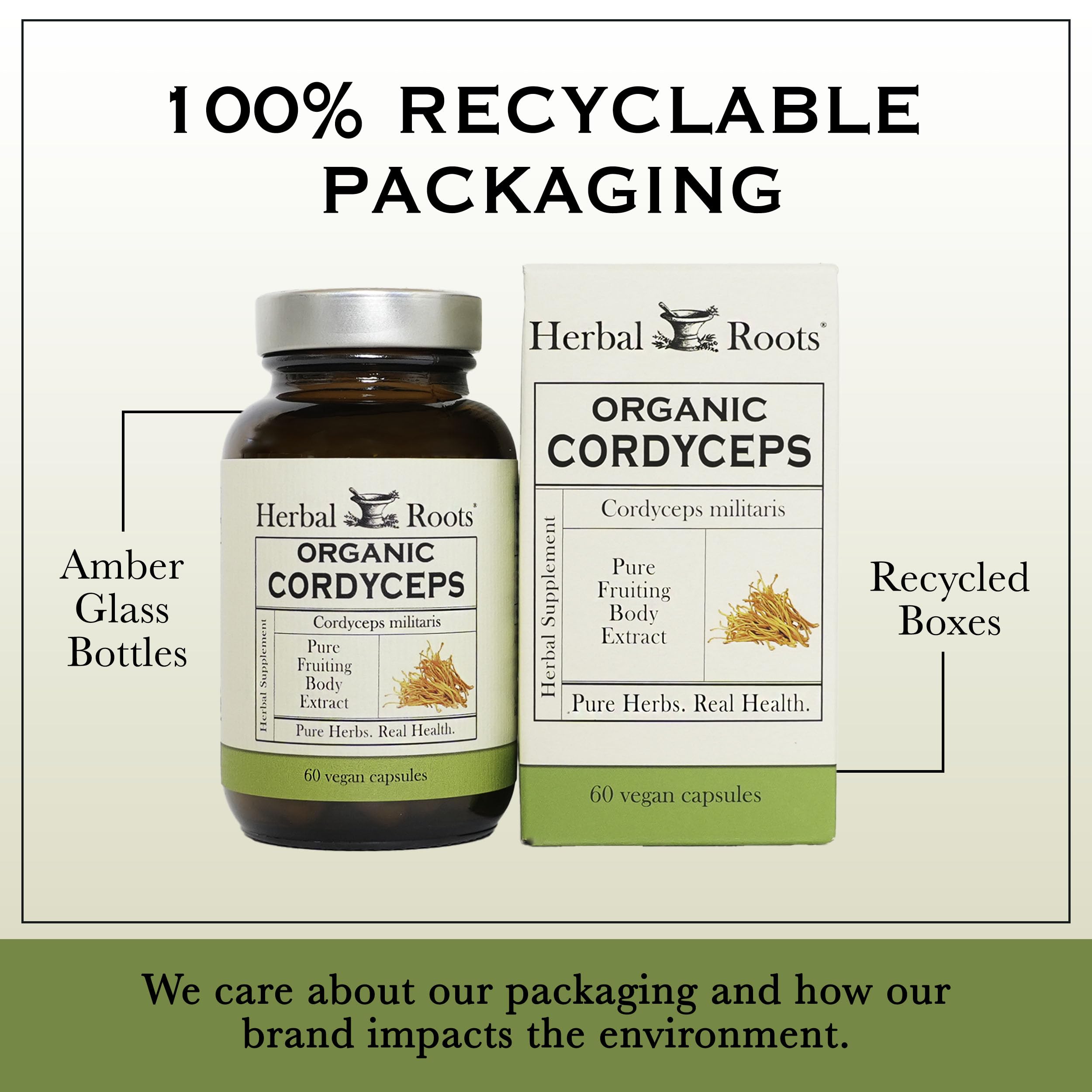 Herbal Roots fruiting body image highlights concentrated mushroom part