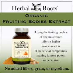 Herbal Roots Cordyceps packaging box with certifications and usage suggestions