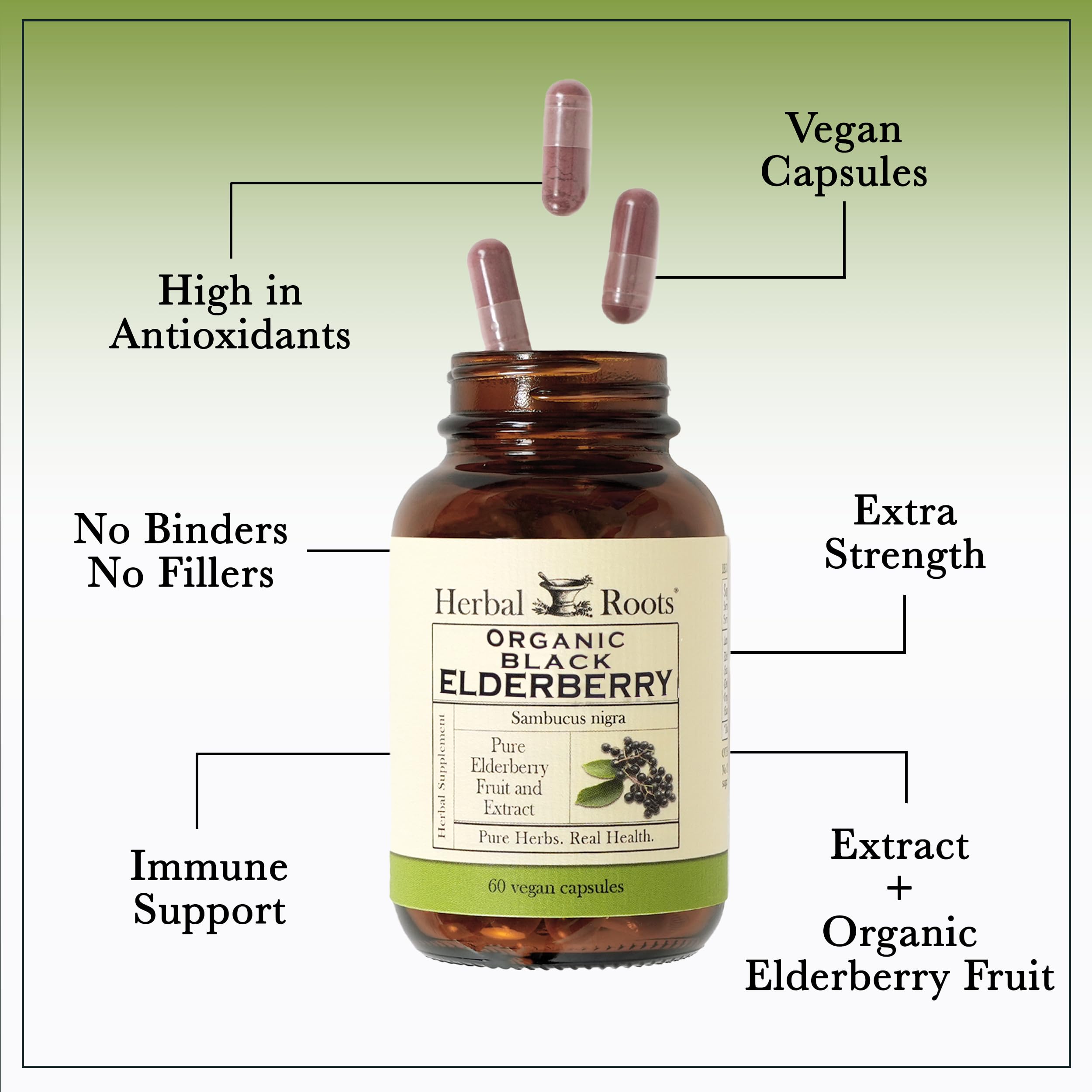 Herbal Roots elderberry capsules closeup reveals pure formula with no additives.
