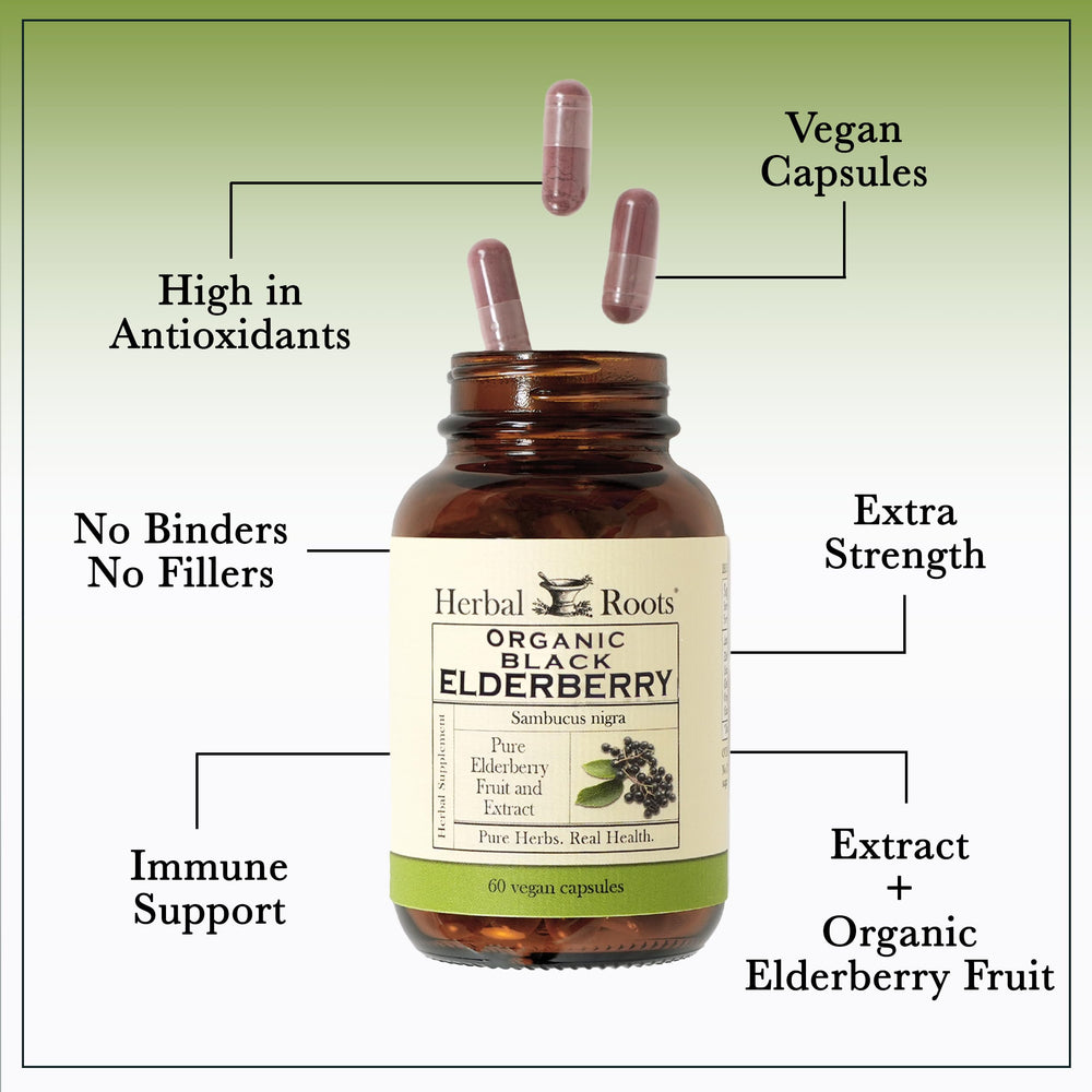 Herbal Roots elderberry capsules closeup reveals pure formula with no additives.