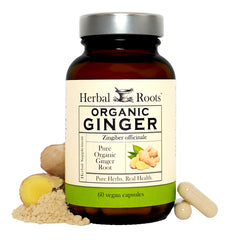 Herbal Roots Ginger Supplement bottle pour shows pure ginger powder for digestive comfort