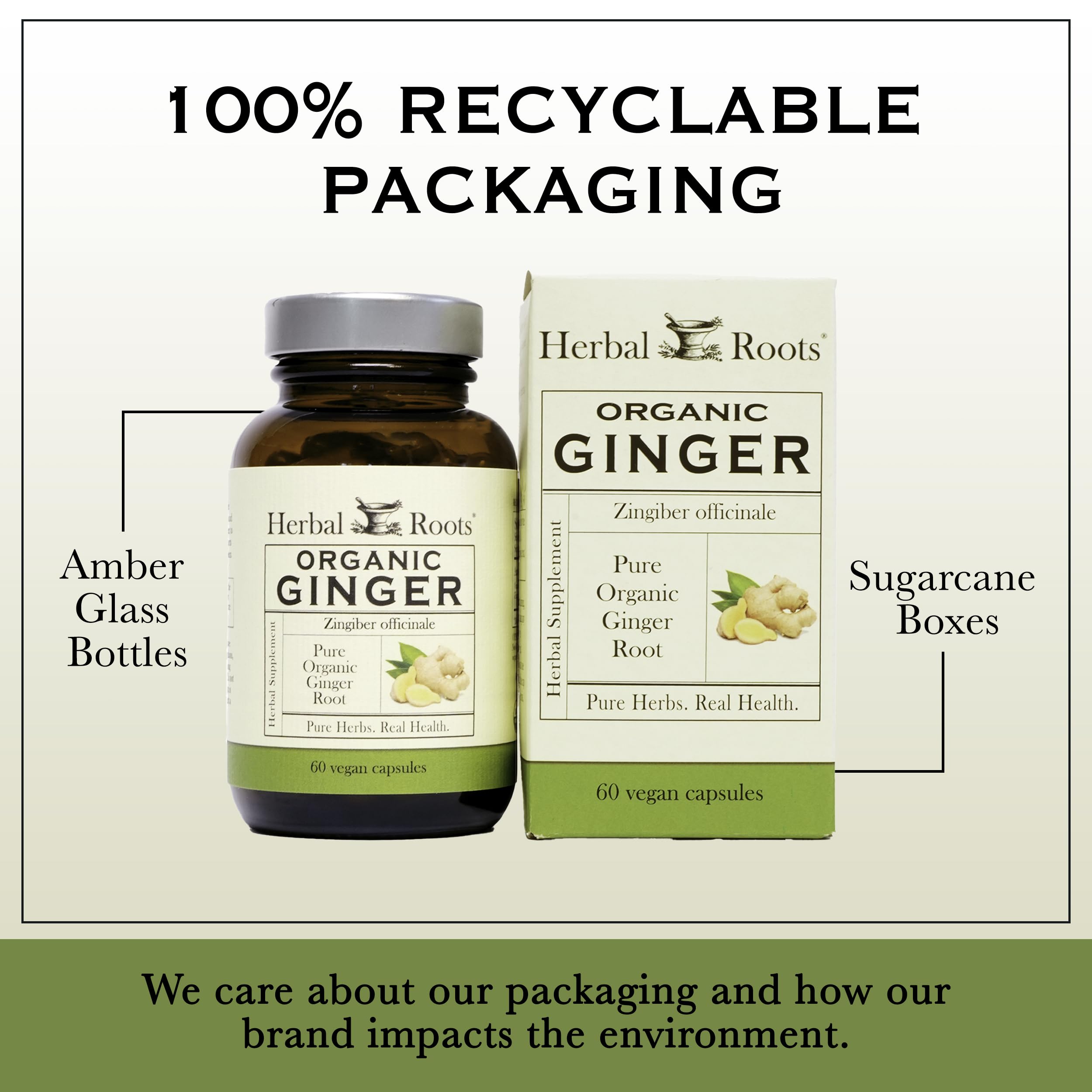 Herbal Roots Ginger Supplement capsules on white background ready to take