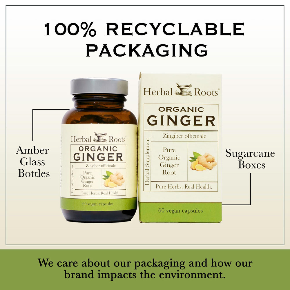 Herbal Roots Ginger Supplement capsules on white background ready to take