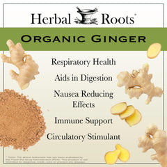 Herbal Roots Ginger Supplement label closeup with organic certification and testing