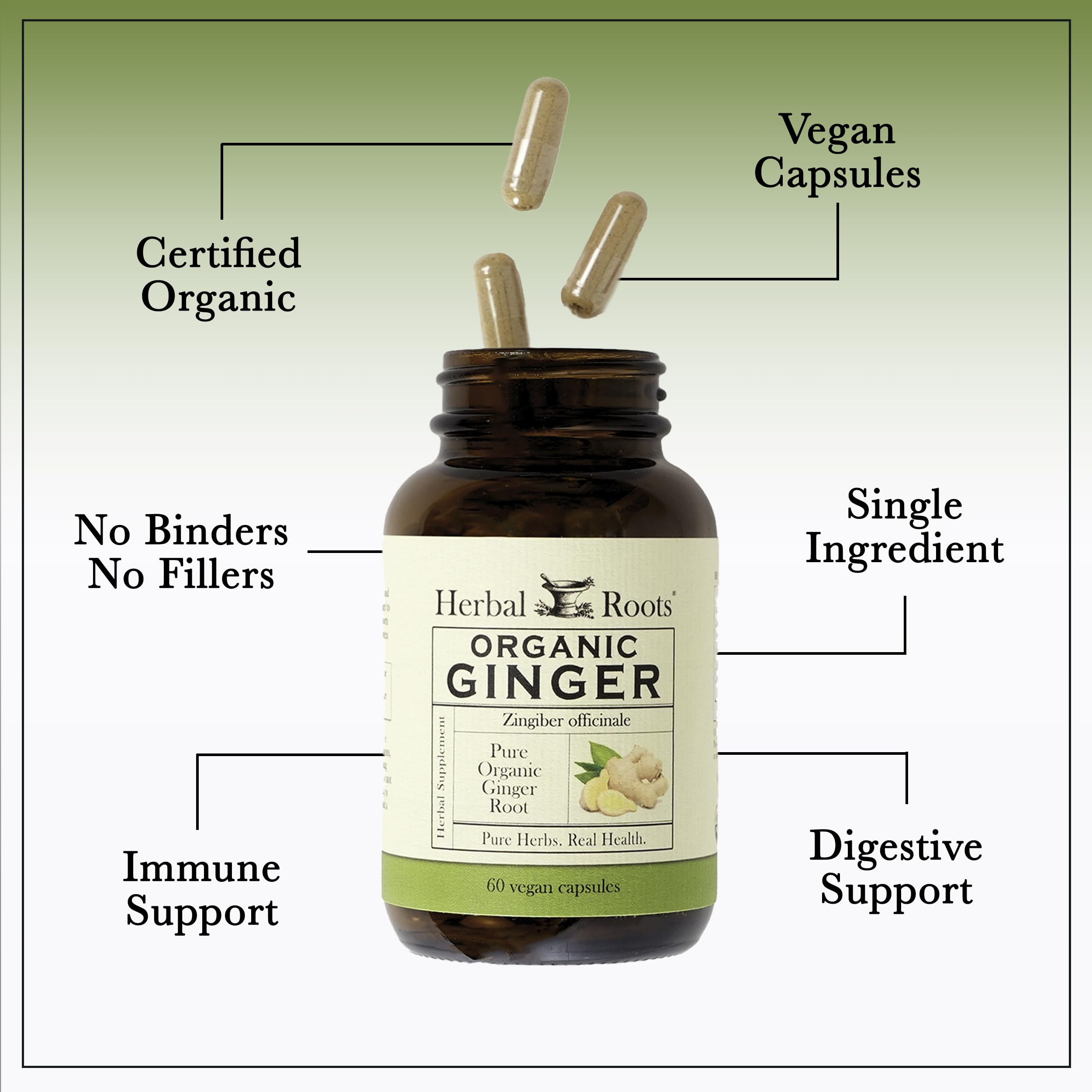 Herbal Roots Ginger Supplement packaging display emphasizing organic vegan capsules