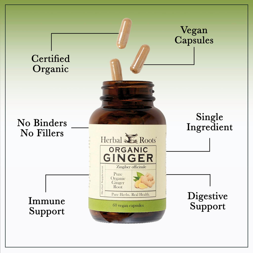 Herbal Roots Ginger Supplement packaging display emphasizing organic vegan capsules