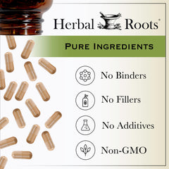 Herbal Roots Milk Thistle product photo – family-owned brand focusing on honest, GMO-free herbal supplements.