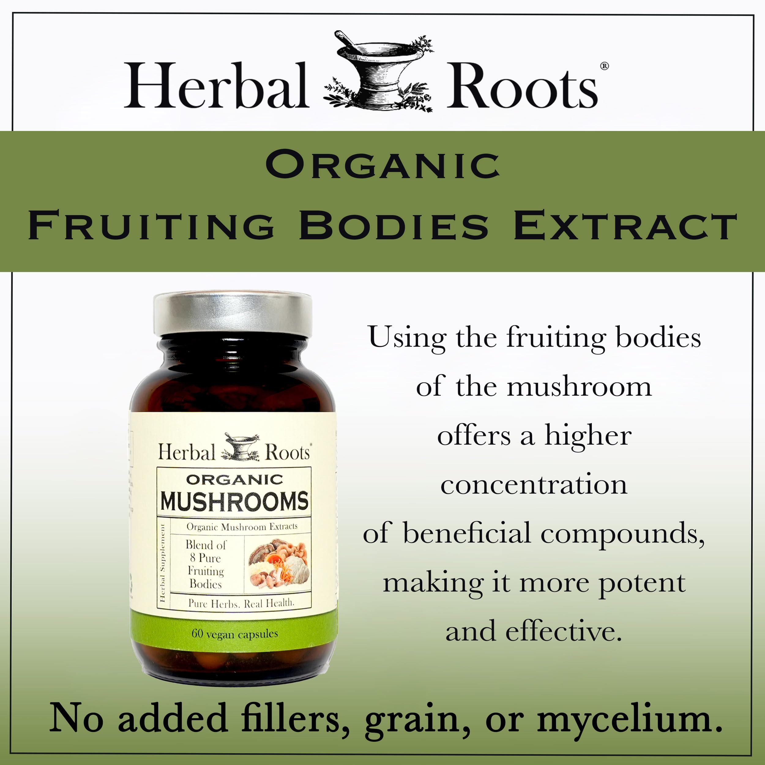 Herbal Roots Organic 8 Mushroom Blend capsules in hand for easy daily supplementation.