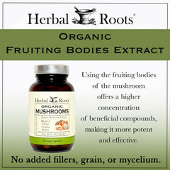 Herbal Roots Organic 8 Mushroom Blend capsules in hand for easy daily supplementation.