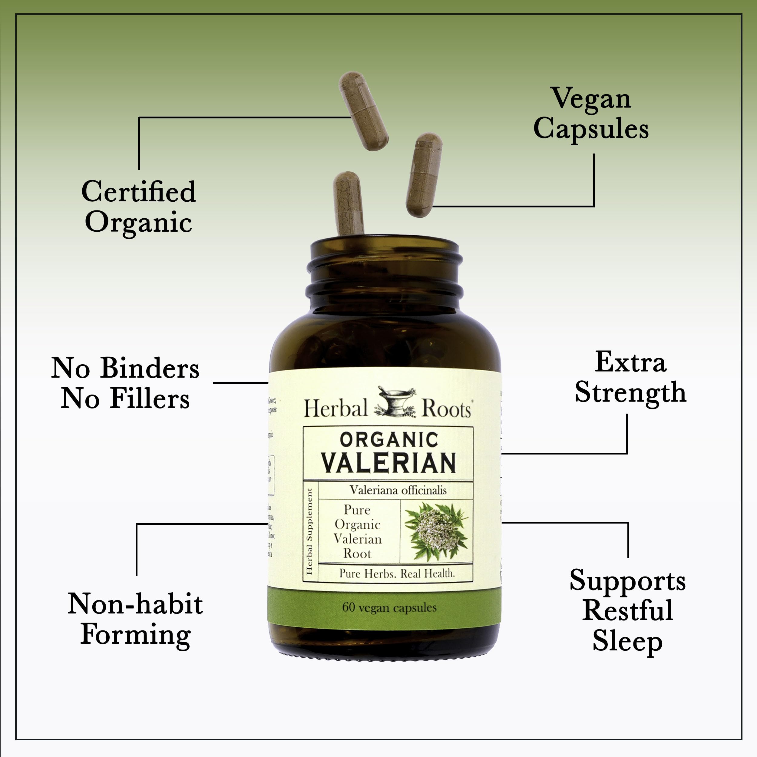 Herbal Roots valerian capsules dosage info shown, supporting informed use and consistent intake.