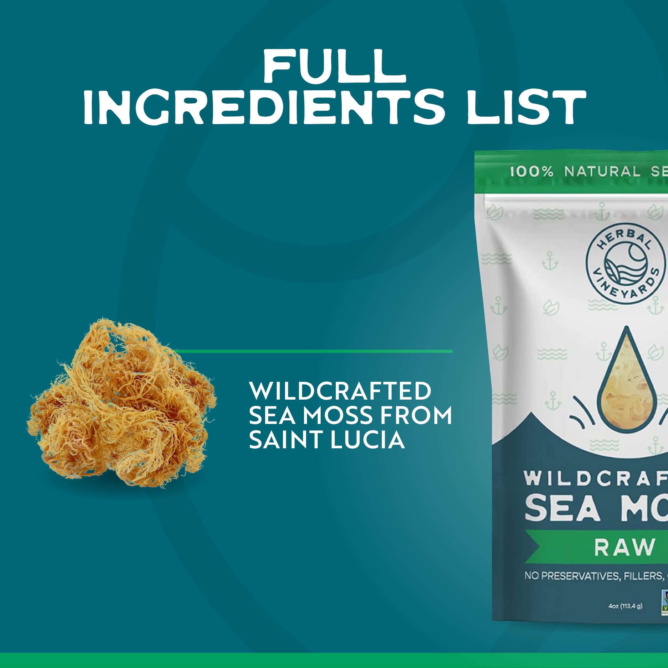 Herbal Vineyards Gold Sea Moss gel prep close-up, smooth texture for smoothies