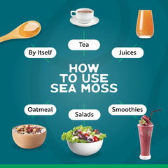 Herbal Vineyards Gold Sea Moss smoothie glass, creamy color, energizing start