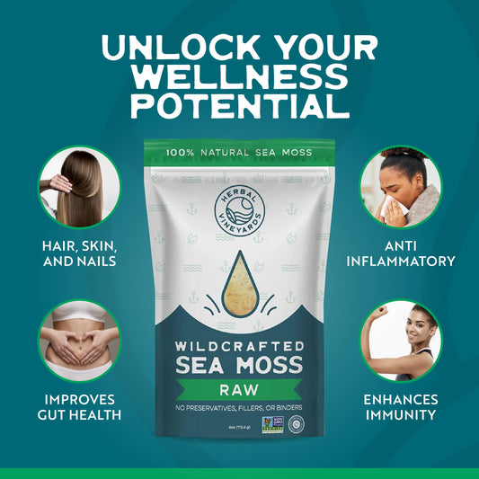 Herbal Vineyards Gold Sea Moss soak bowl, ideal for gel prep