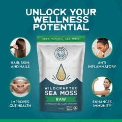 Herbal Vineyards Gold Sea Moss soak bowl, ideal for gel prep