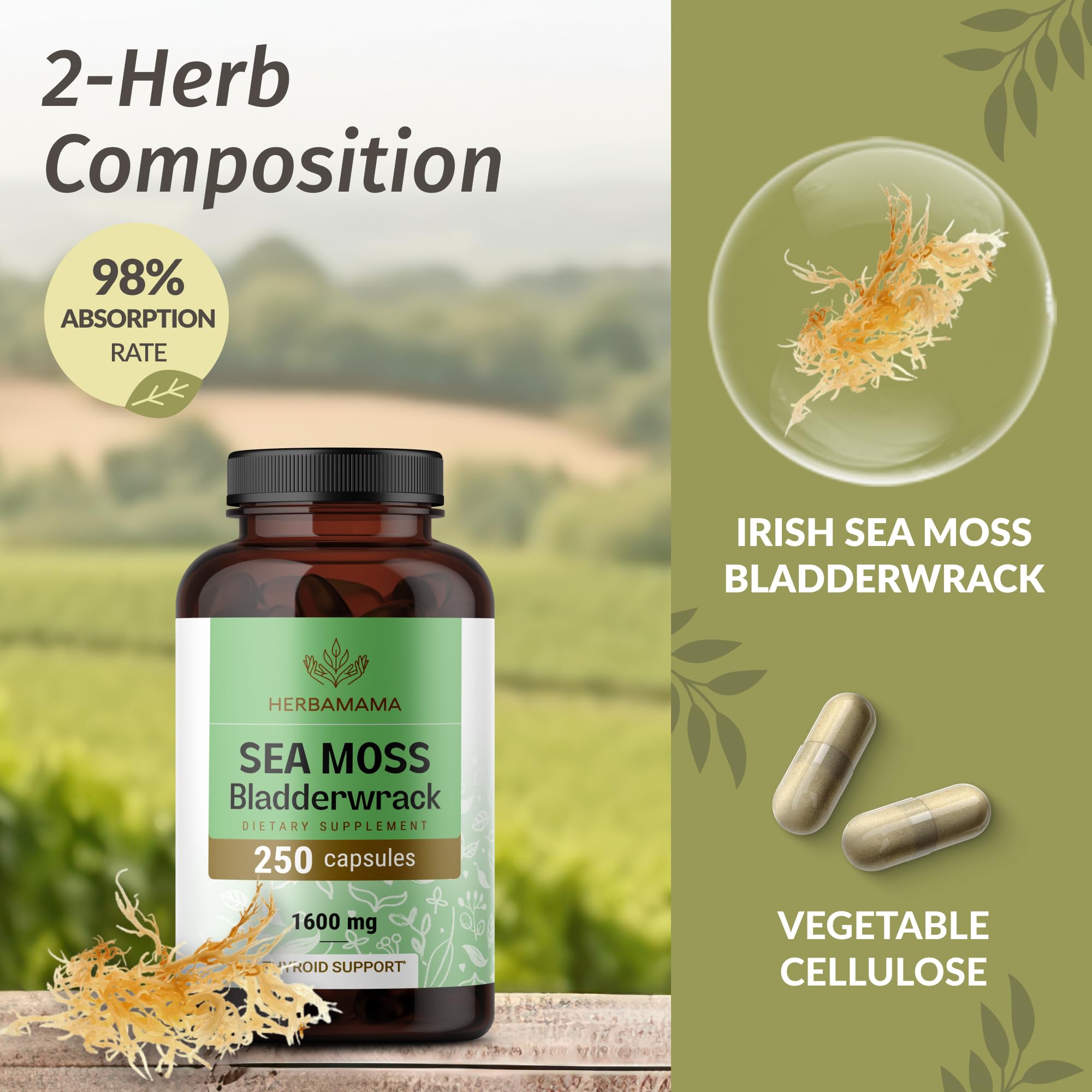 HERBAMAMA bladderwrack powder package emphasizes clean three-ingredient mix.