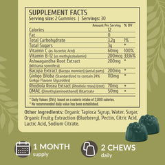 Herbamama Brain Support Gummies blueberry flavor close-up for enjoyable daily use.