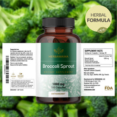 HERBAMAMA broccoli sprouts capsule ingredient spotlight on sulforaphane source