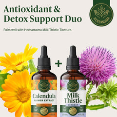 HERBAMAMA Calendula tincture added to a beverage for daily routine.