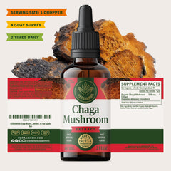 HERBAMAMA Chaga tincture bottle showcases alcohol-free, sugar-free formula.