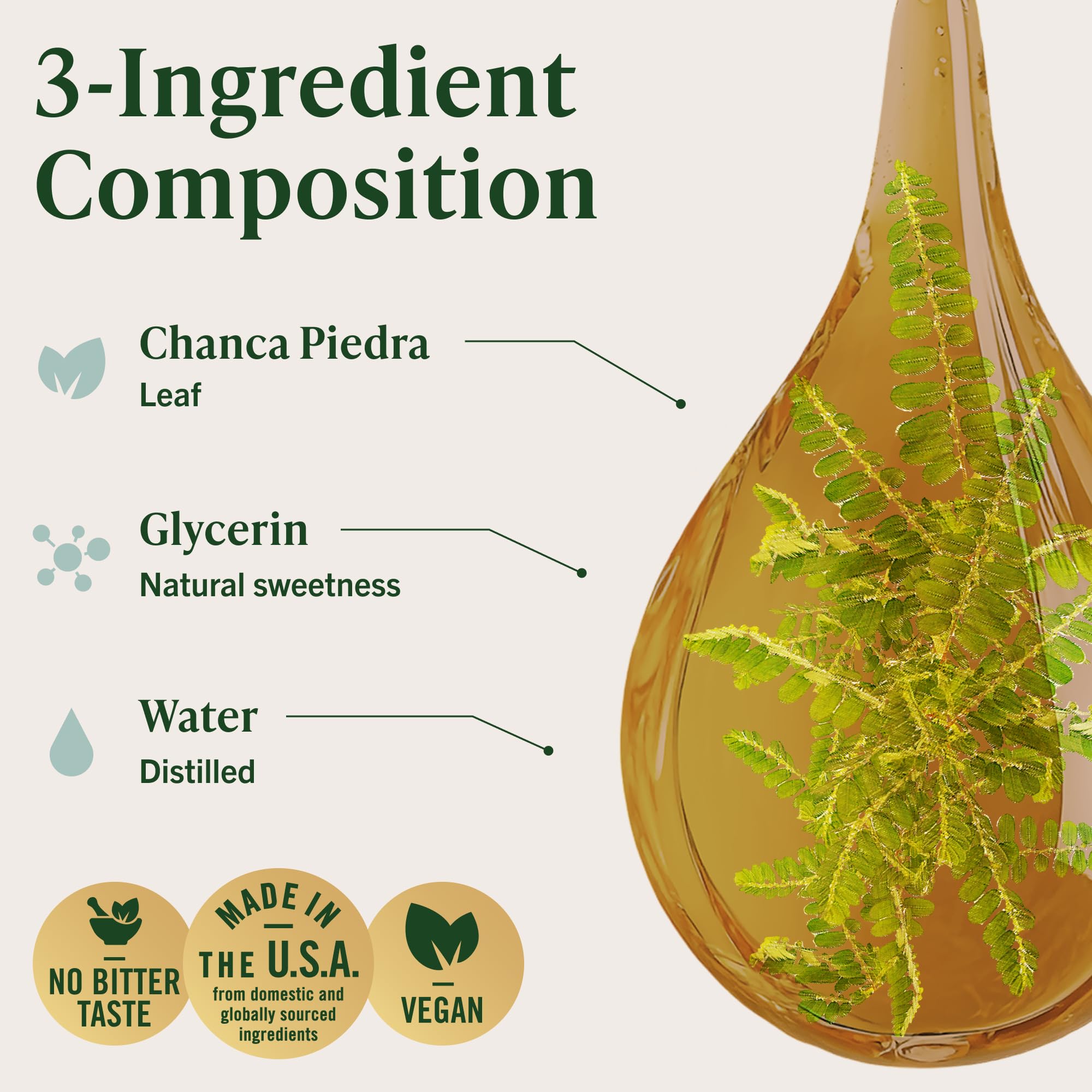 Close-up of Chanca Piedra leaves used in the extract.