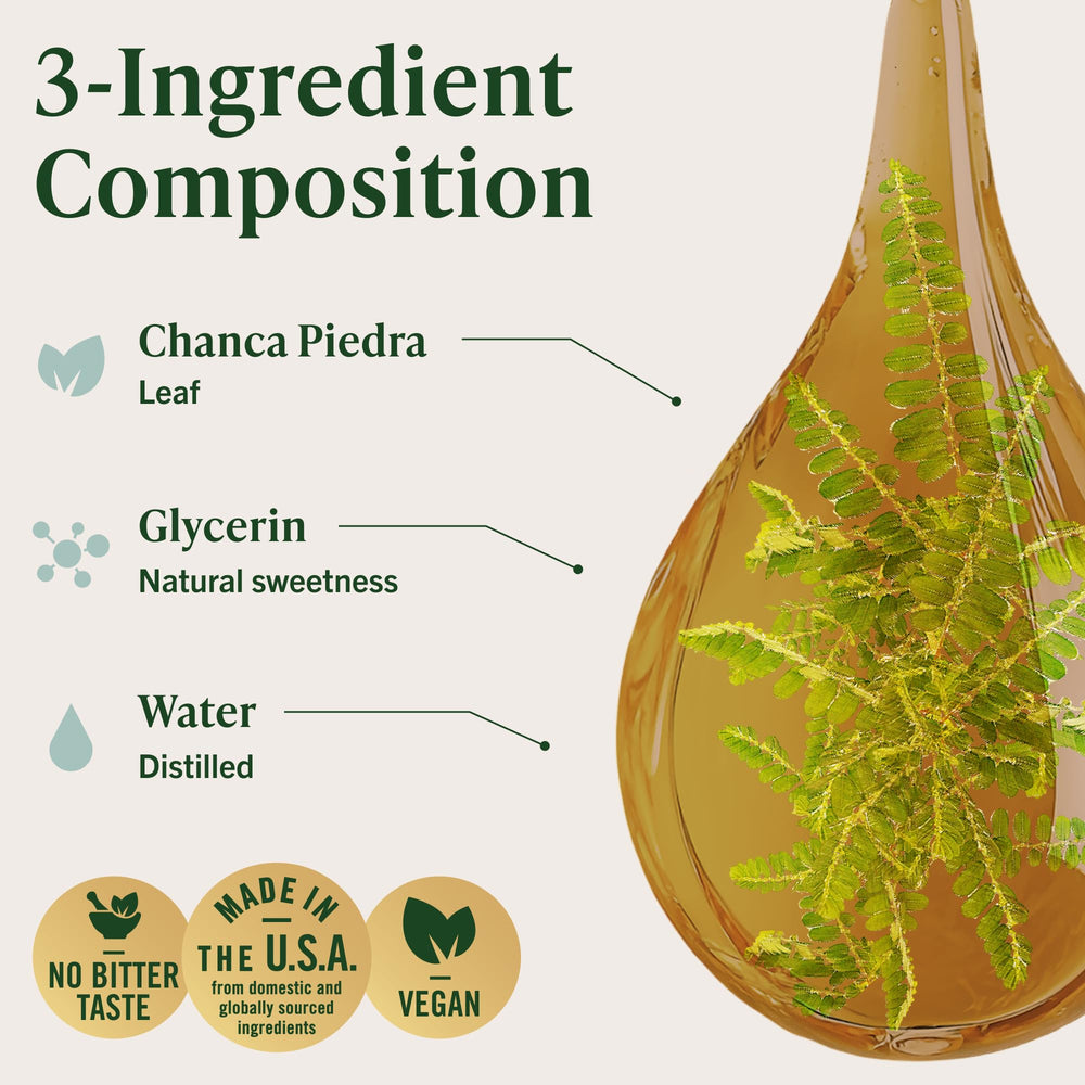 Close-up of Chanca Piedra leaves used in the extract.