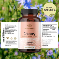 HERBAMAMA chicory capsules in supplement pack reinforce daily routine compatibility