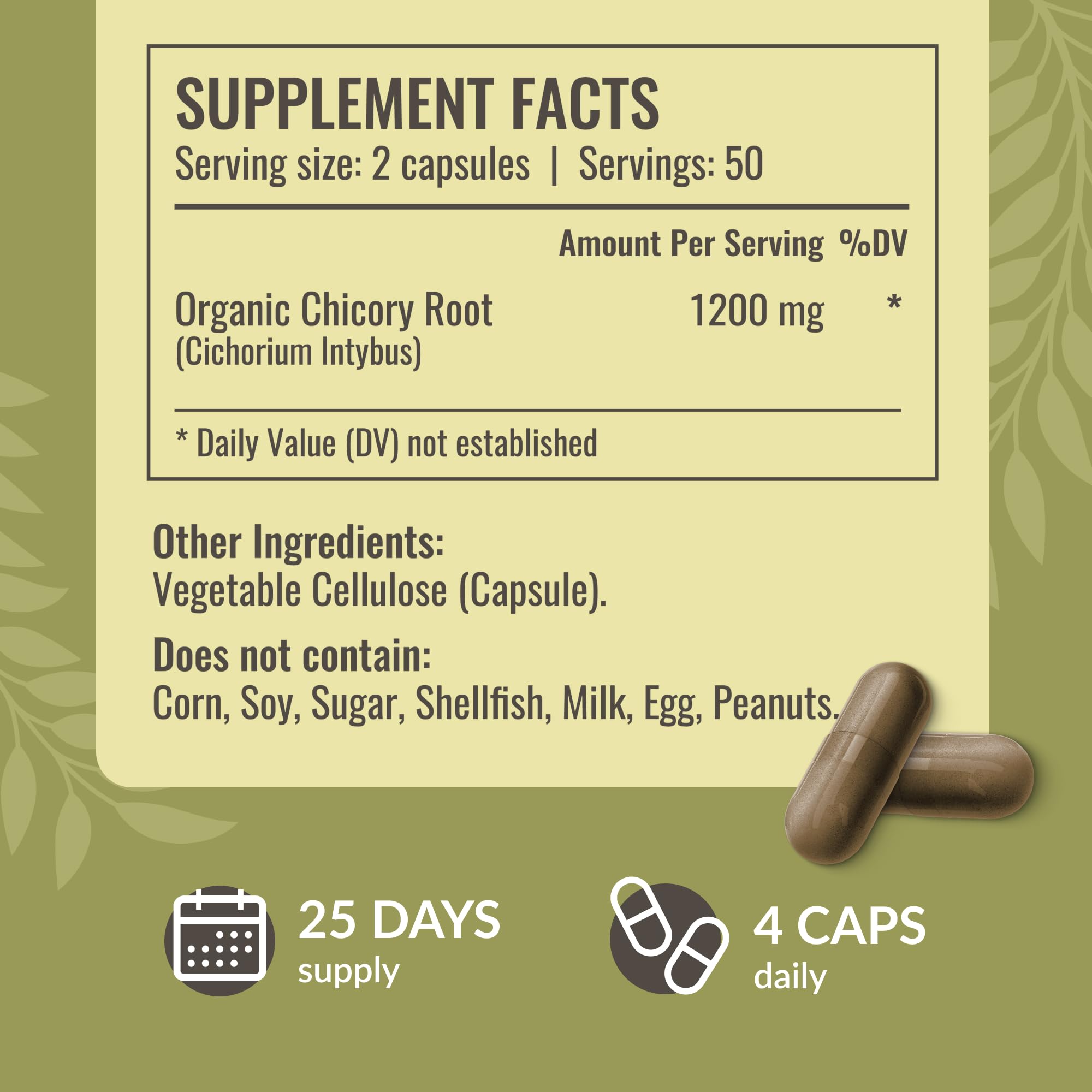 HERBAMAMA Chicory Root Fiber capsules with water showcasing convenient on-the-go daily intake
