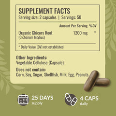 HERBAMAMA Chicory Root Fiber capsules with water showcasing convenient on-the-go daily intake